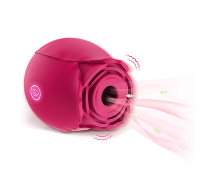 10 Mode Rose Klitoris Mengisap Vibrator Isi Ulang Mengisap Vibrator Untuk Wanita