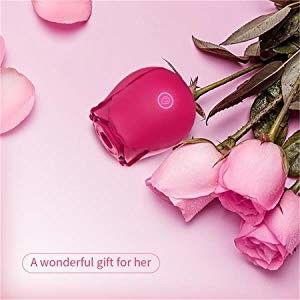 10 Mode Rose Klitoris Mengisap Vibrator Isi Ulang Mengisap Vibrator Untuk Wanita