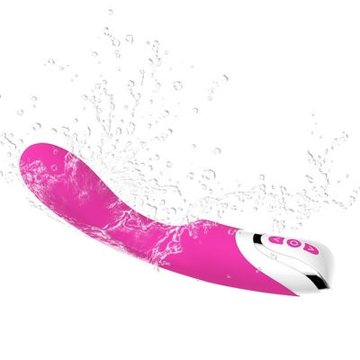 Silicone Vibrating Dido G Spot Insert Wireless Remote Vibrating Massage Vagina Vibrator